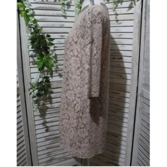 FOSSIL Champagne Blush Pink Lace Shift Dress (1309)🔮 - Picture 5 of 9